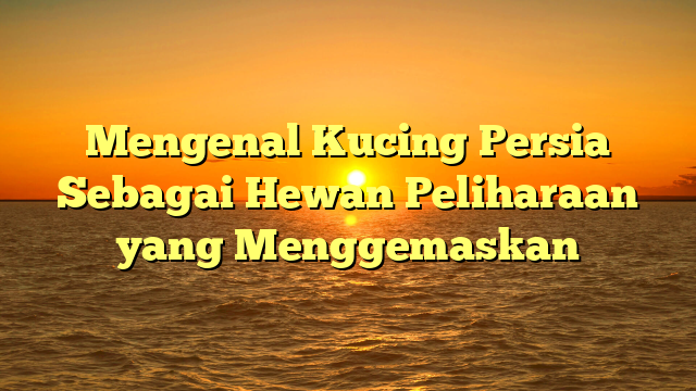 Mengenal Kucing Persia Sebagai Hewan Peliharaan yang Menggemaskan