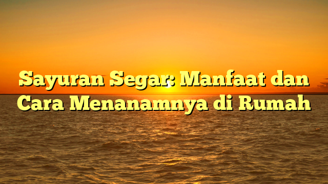 Sayuran Segar: Manfaat dan Cara Menanamnya di Rumah