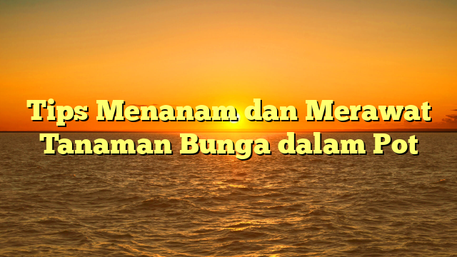 Tips Menanam dan Merawat Tanaman Bunga dalam Pot